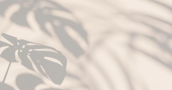 Bioidentical Hormone Replacement Therapy